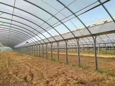 温室大棚骨架与大棚管选型指南 从种植到养殖的全面解析